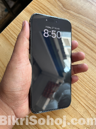 iPhone 14 Pro Max